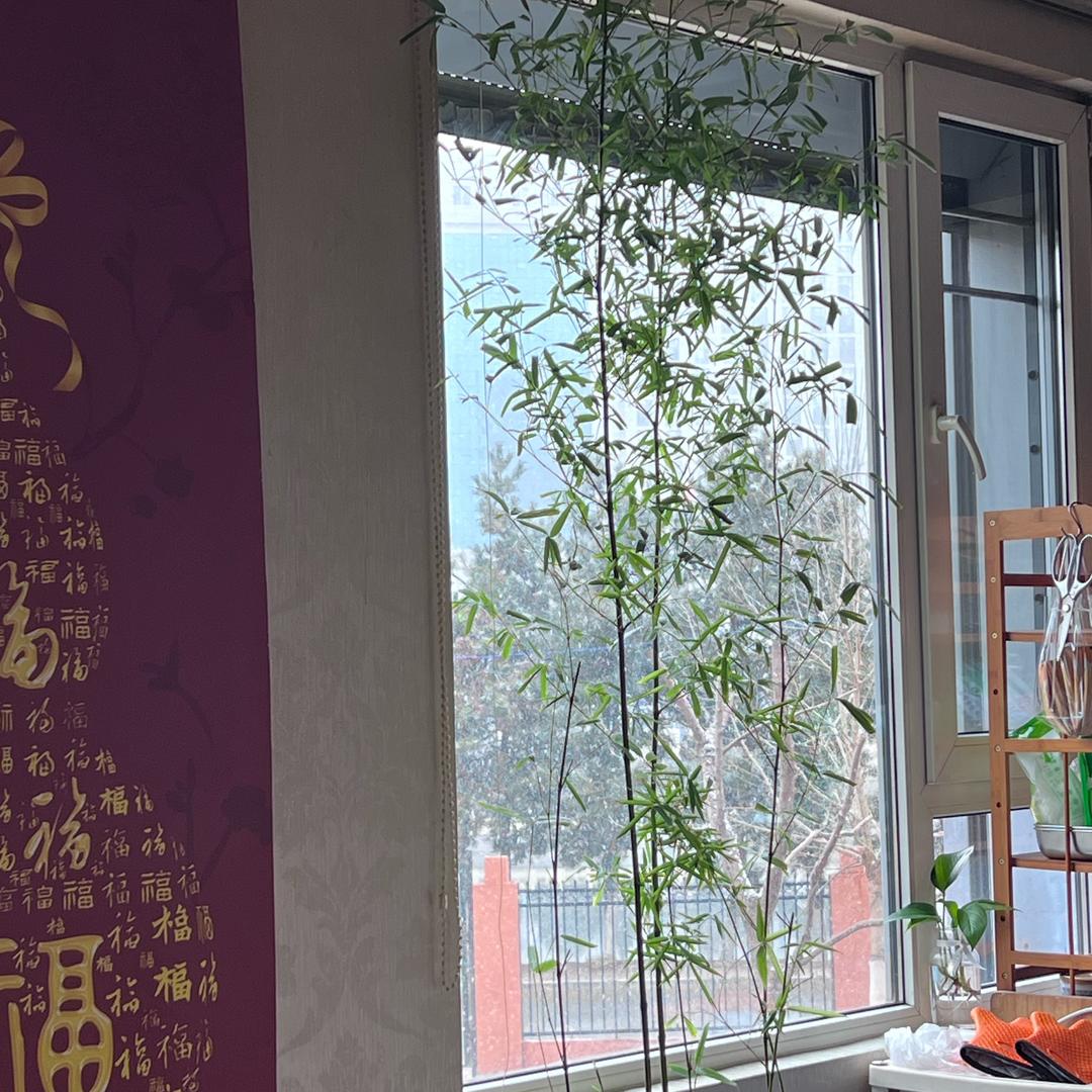 一切美好