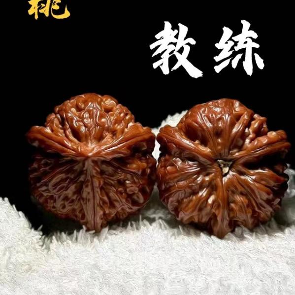 核桃教练俱乐部