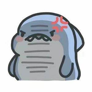 小鲨鱼没烦恼