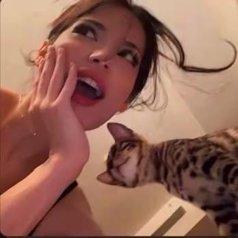 豆子.