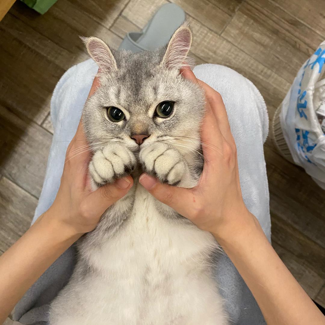 车厘子