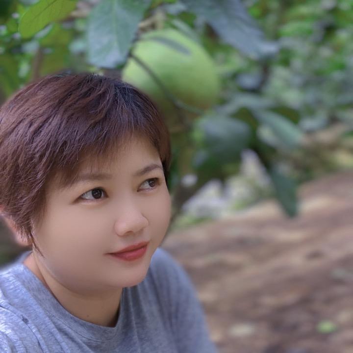 鑫川文旦柚果场