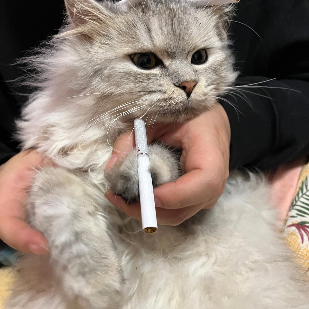 傲涵