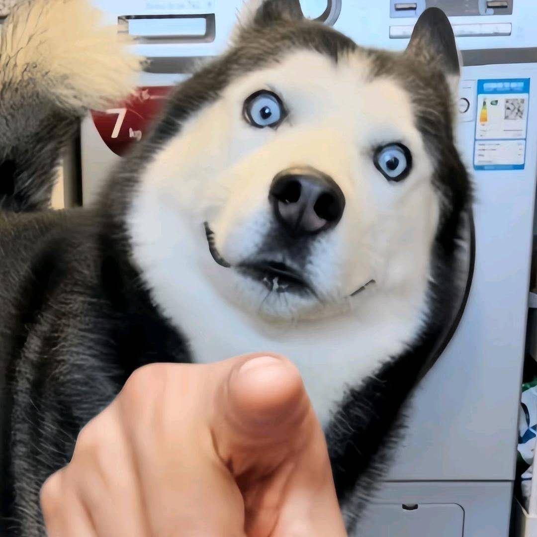 小毒搞笑