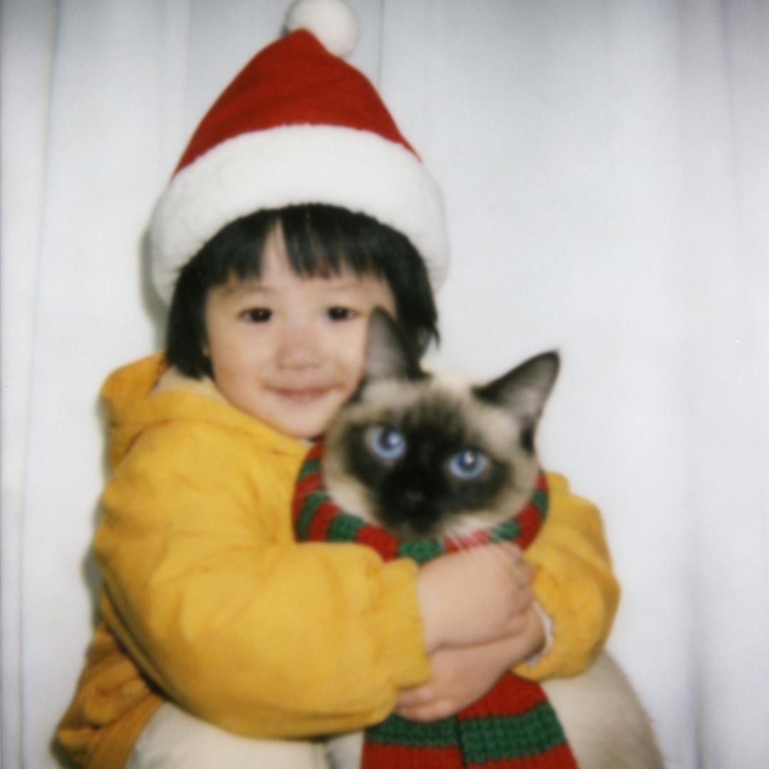 尊敬的麦当当公主