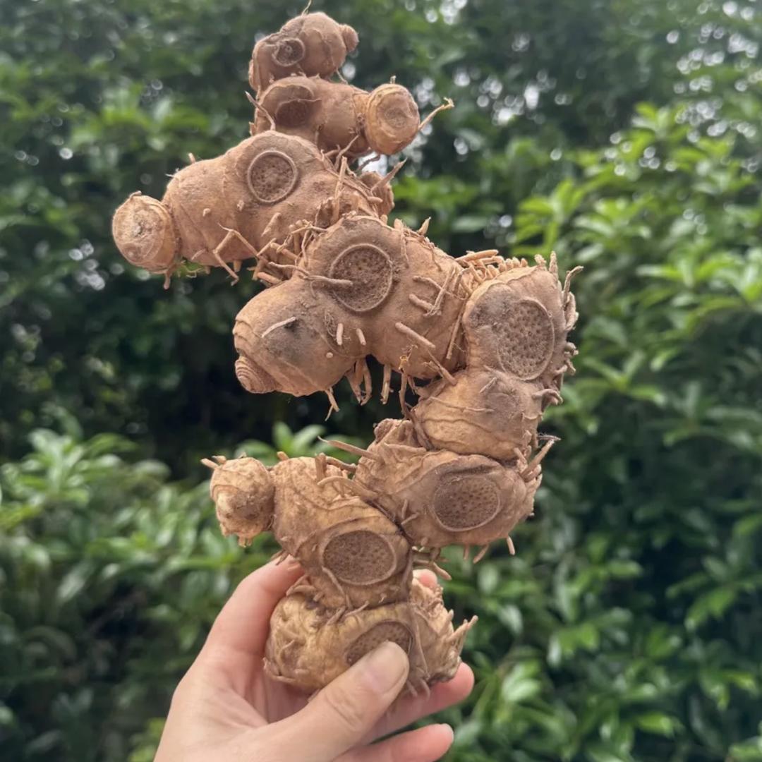 心星土特产精选店