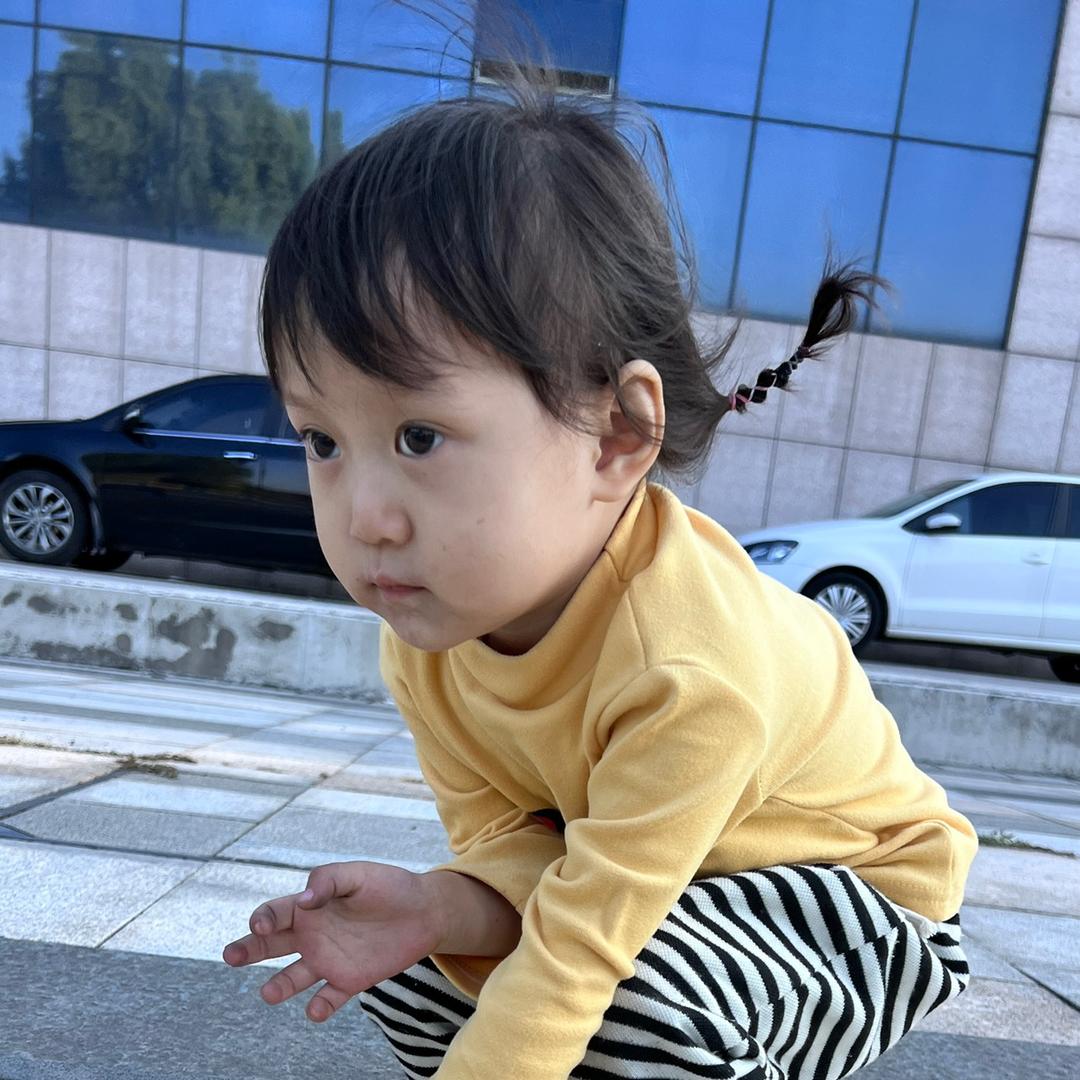 小诺宝