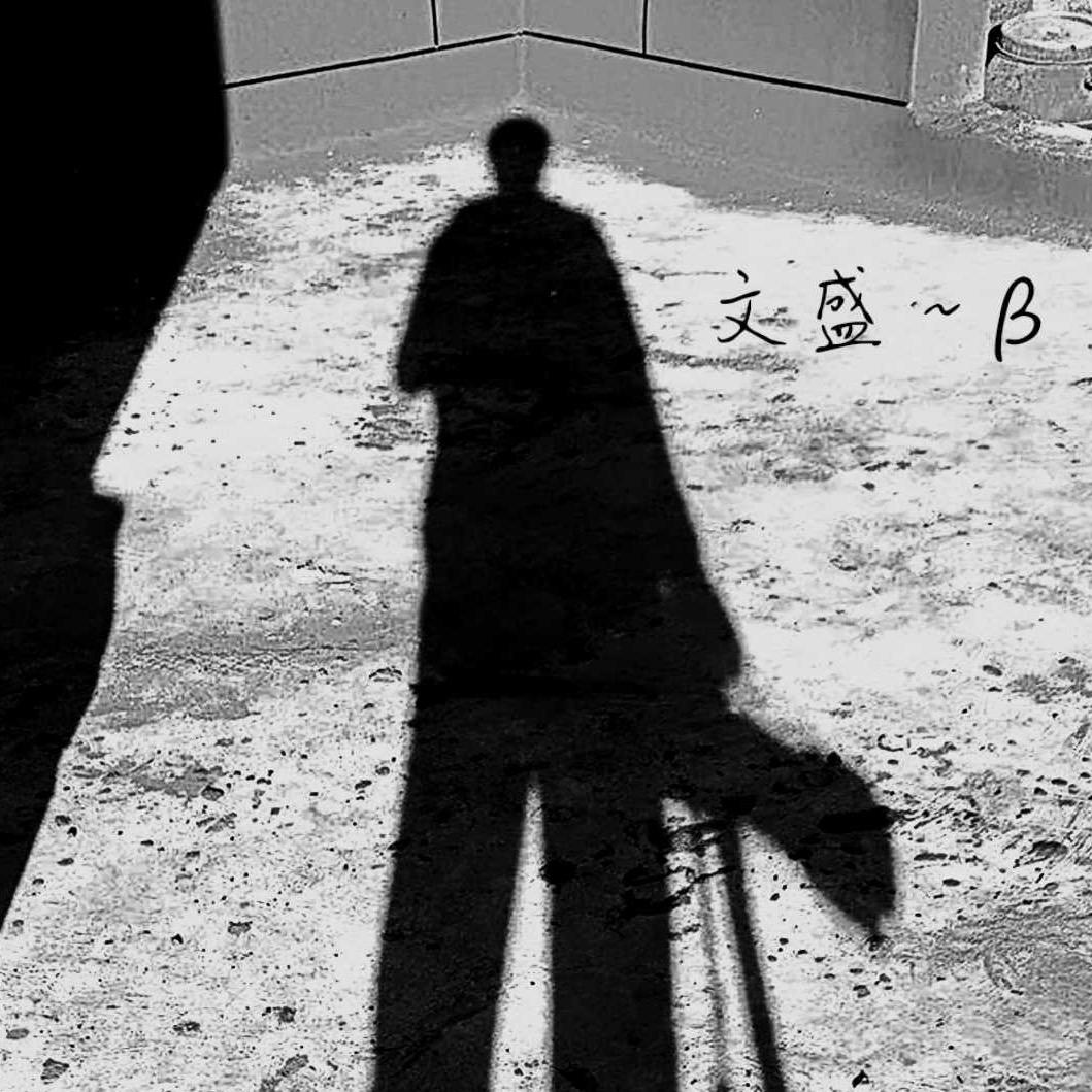 文盛～βིྀ🇨🇳📷