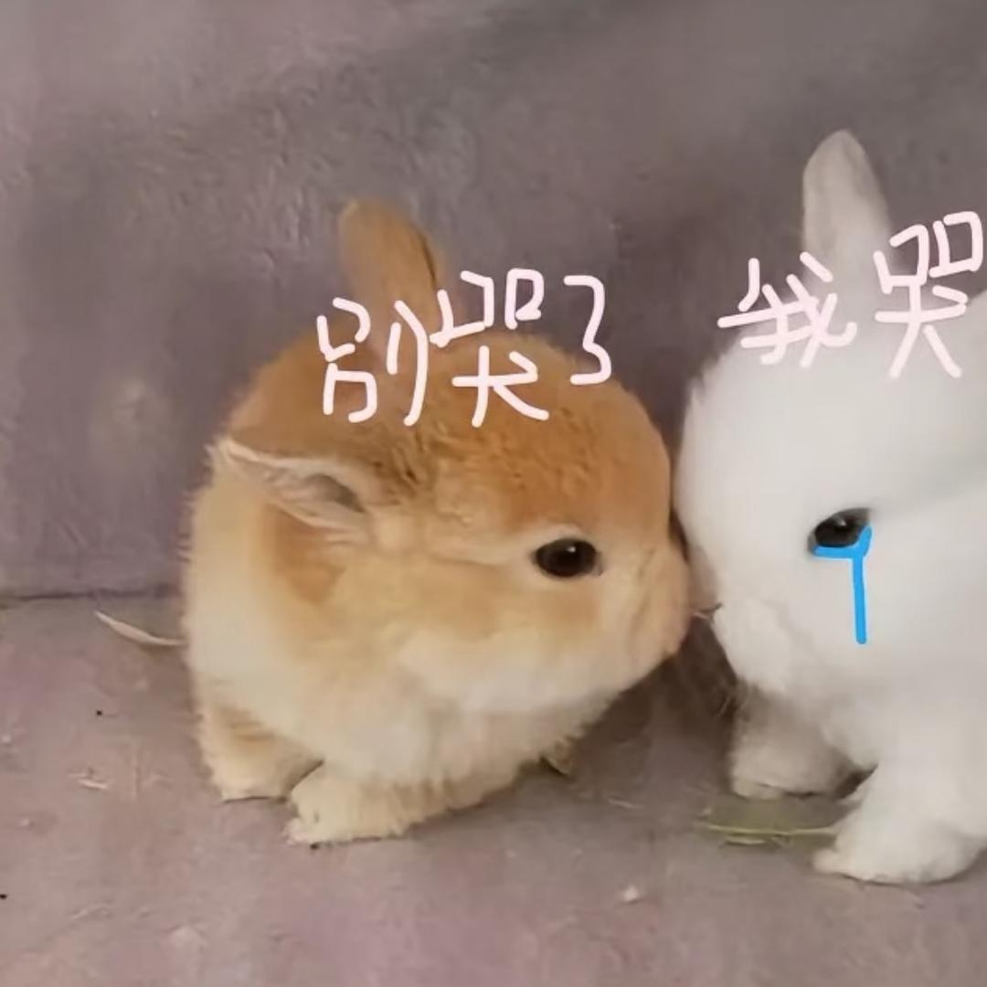 1234567890