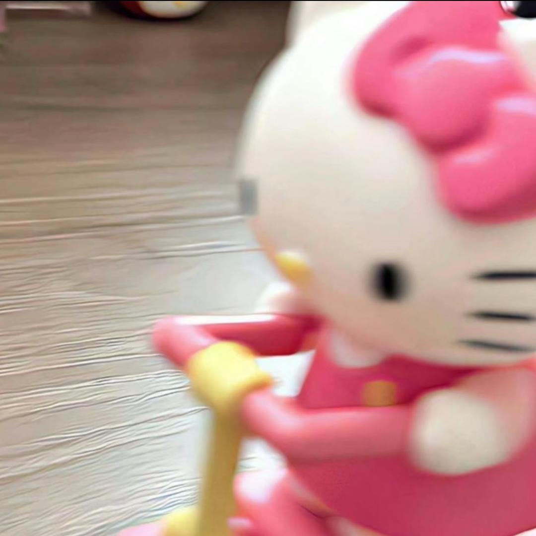 暴躁的小kitty🎀