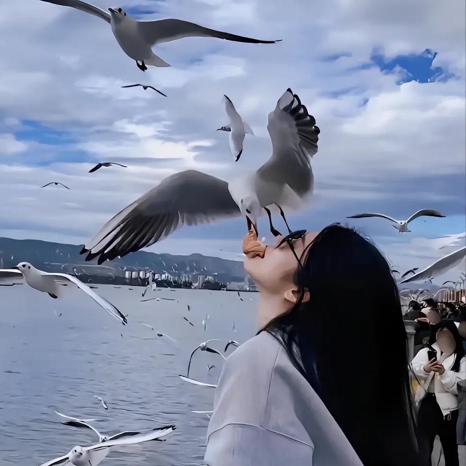 好好运运连连