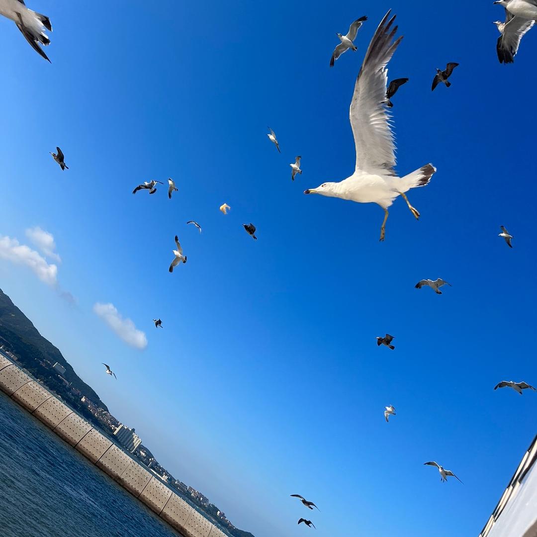 尼古拉斯你恒哥