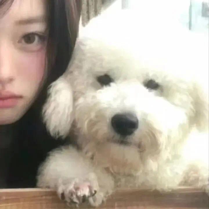 肥糯米子