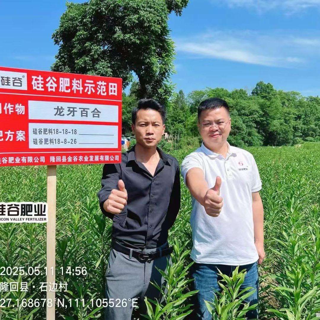 助农小锋