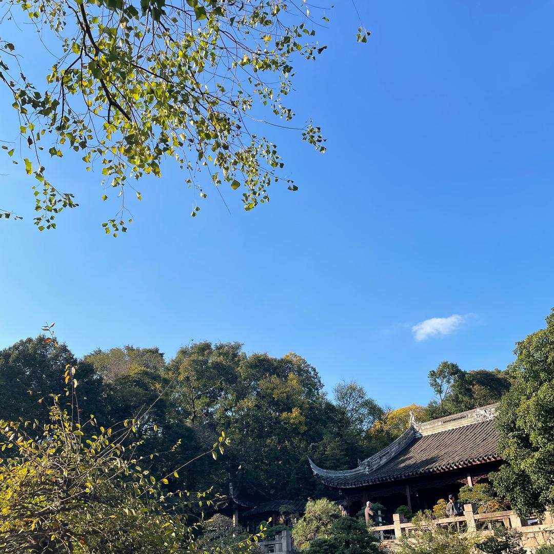 风一直吹