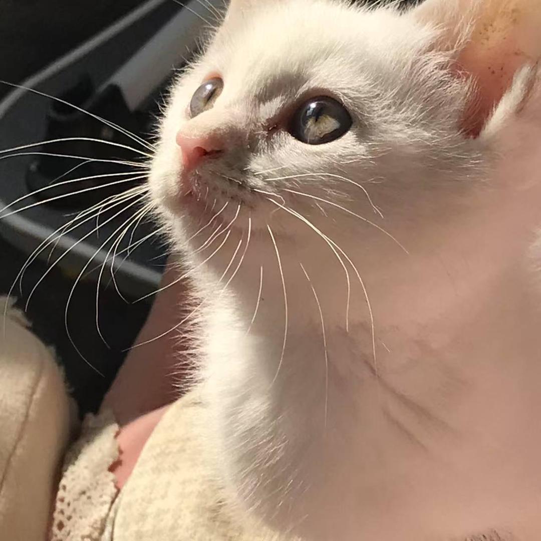 小粒