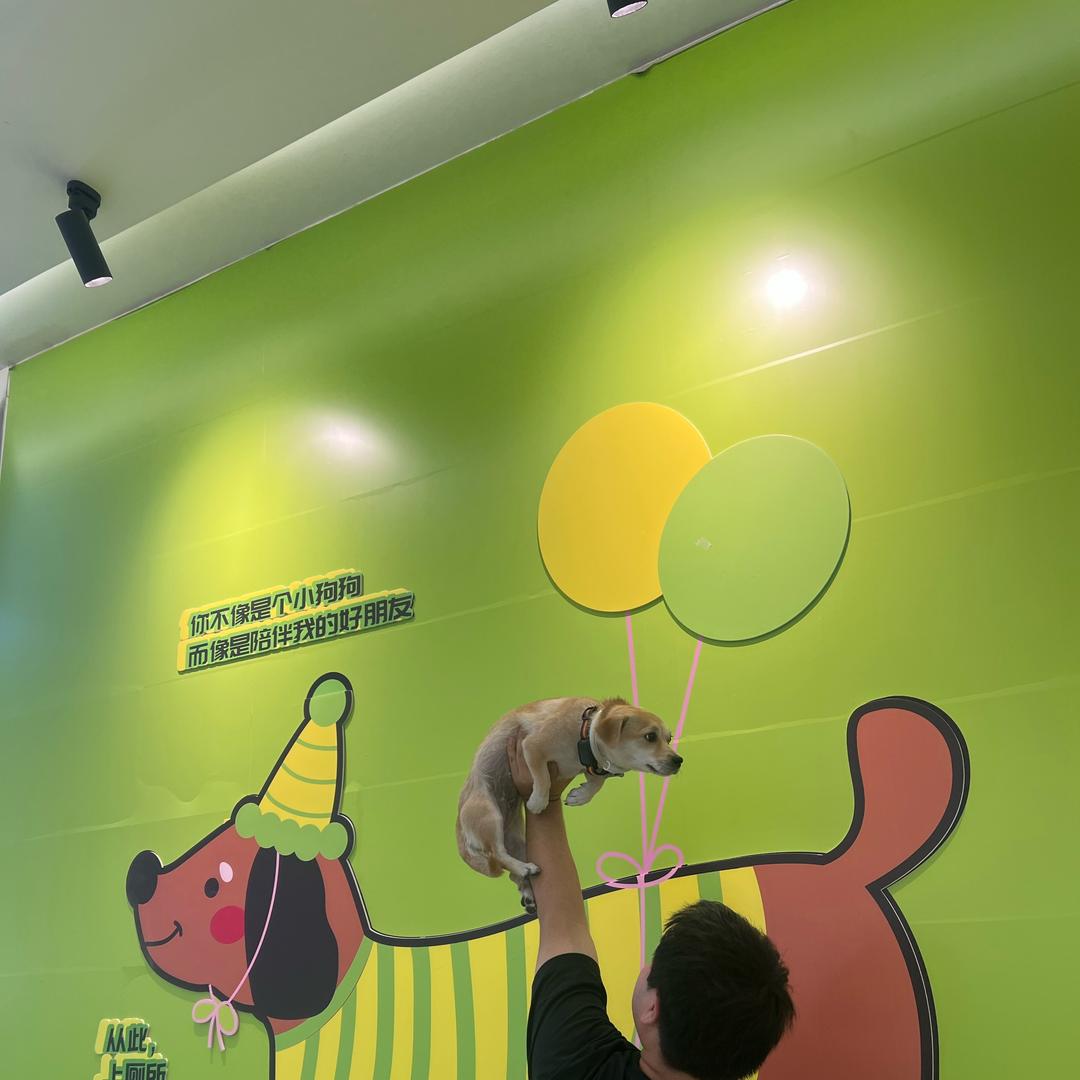 比奇堡第一吃货