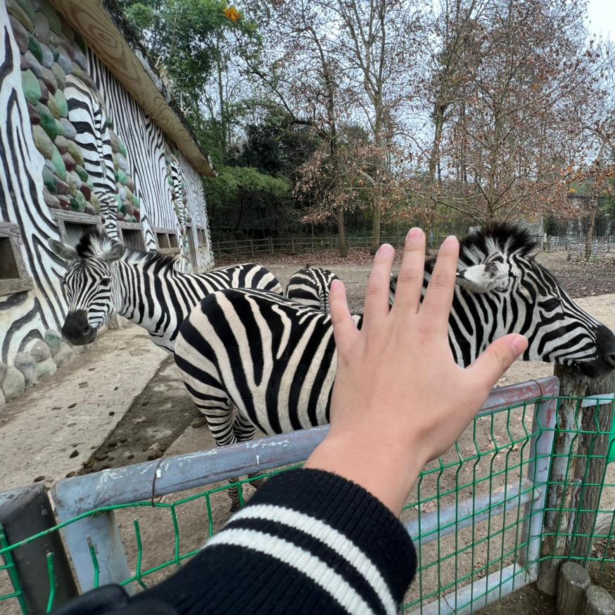 阿萨🎤
