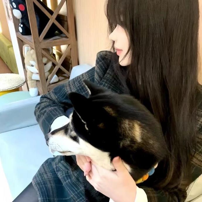 东莞永诚货运