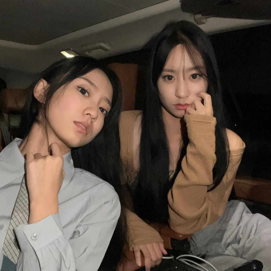 两只马儿🐎
