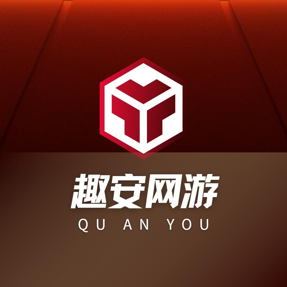 趣安网络（王者评估）