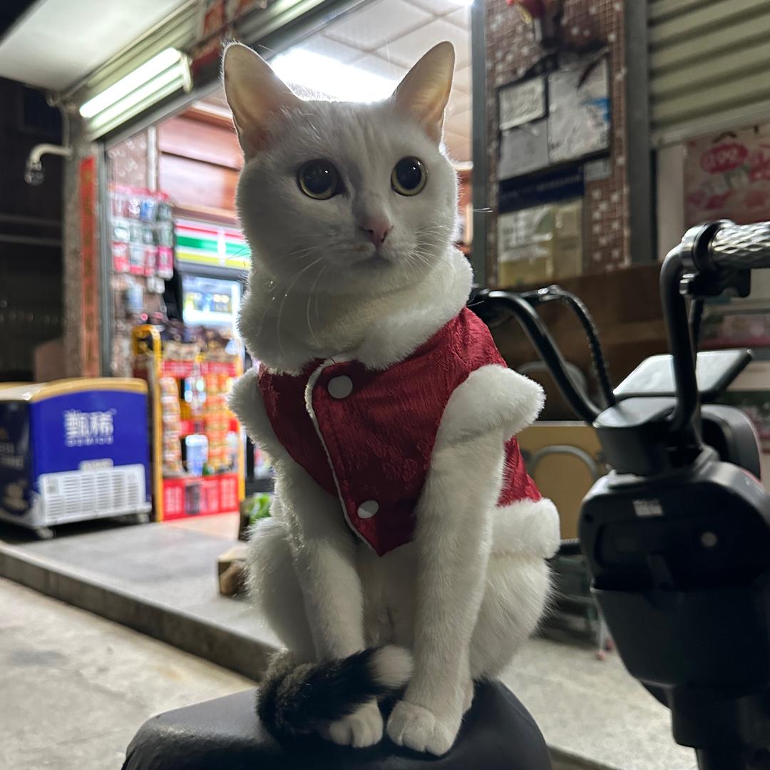 我想随方就圆