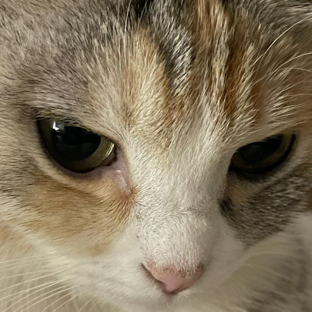 月泽而铭