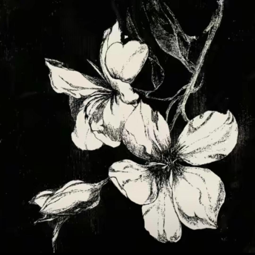 我这回真没招了