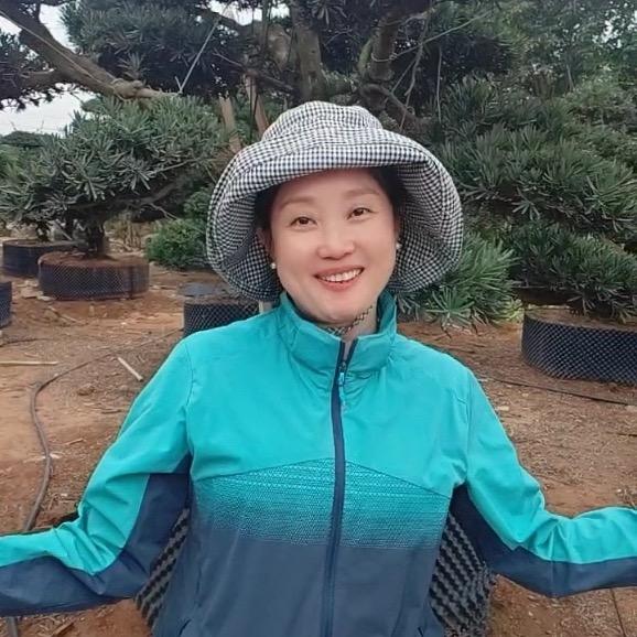 罗汉松林姐（青松阁）