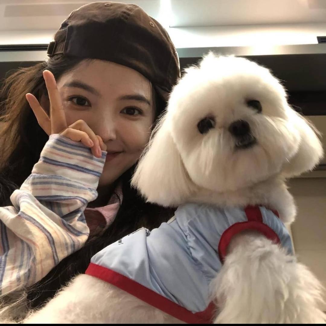 小贾睡不醒🧏🏻‍♀️