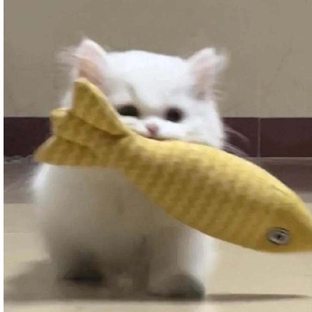 南雪