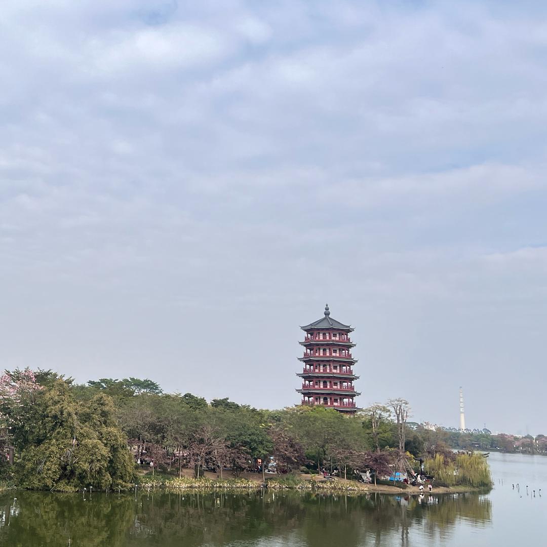 小鱼