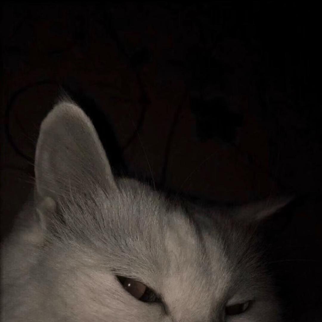 ￴￴ ￴￴ ￴  ￴￴ ￴