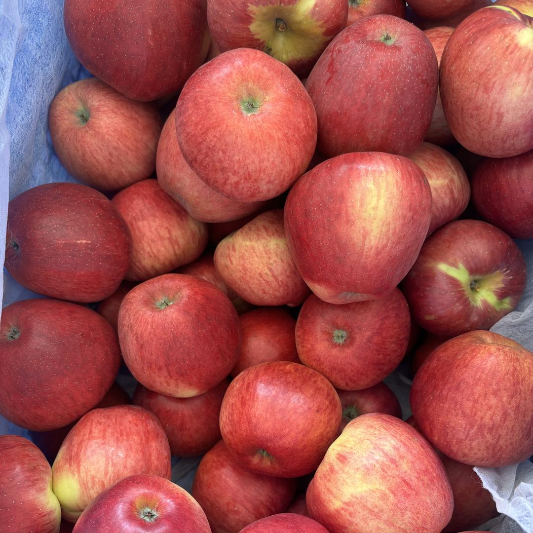 健健优选，供应链，代办