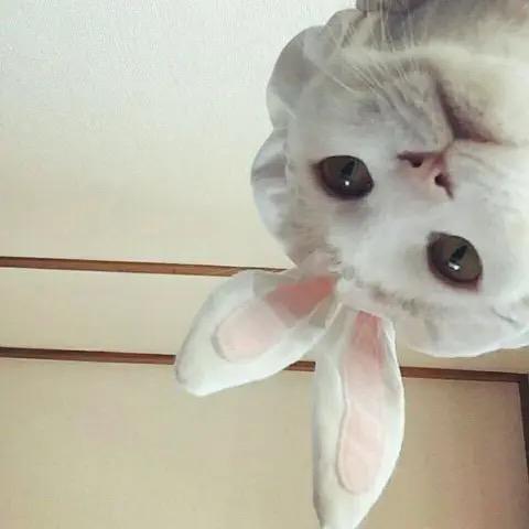 ࿐🧦࿐💗
