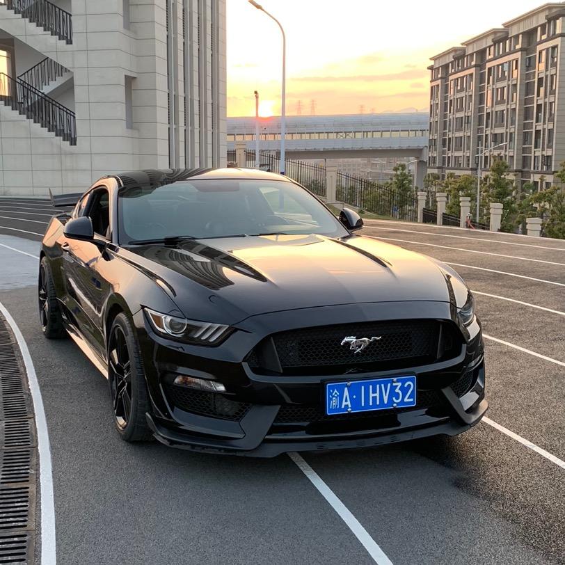 重庆收售野马-涛