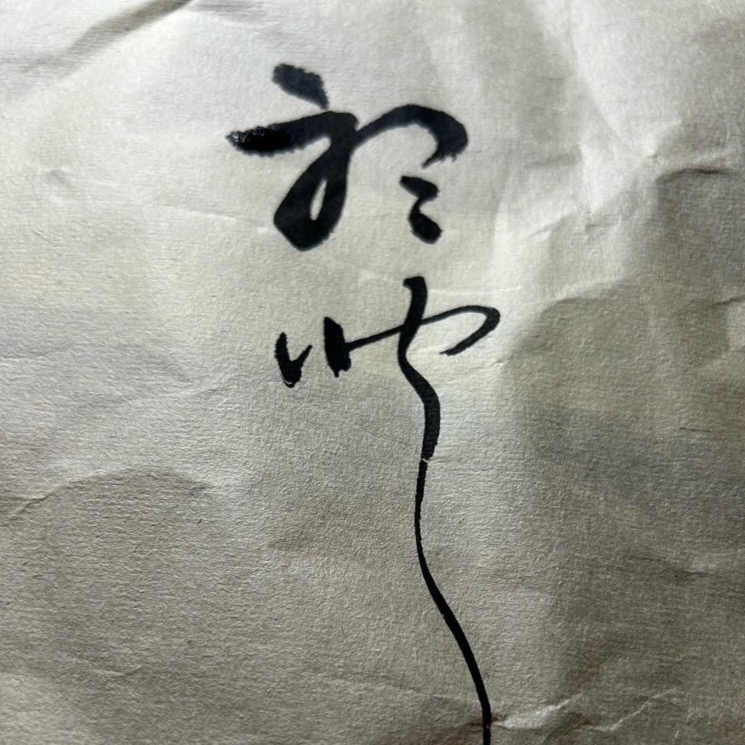 冬日阳光☀️