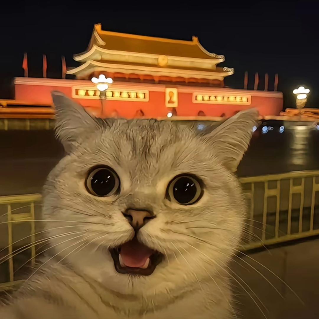 库里南碎片