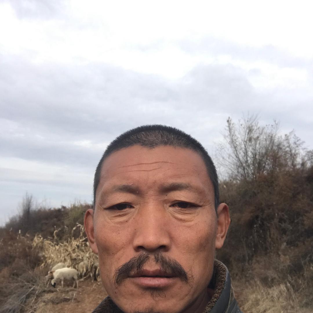 理一或命的交流