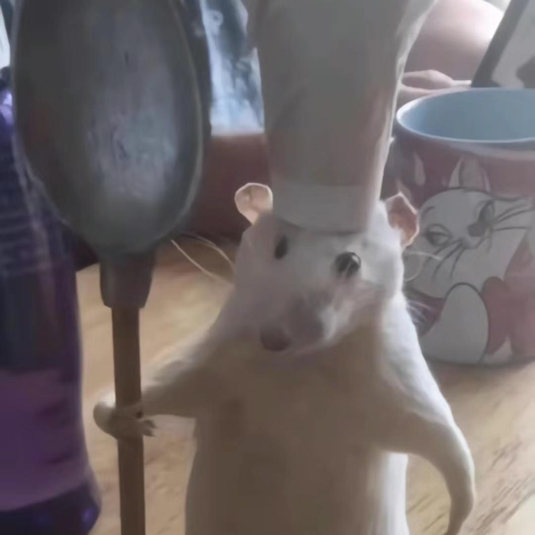铁扇阿鼠