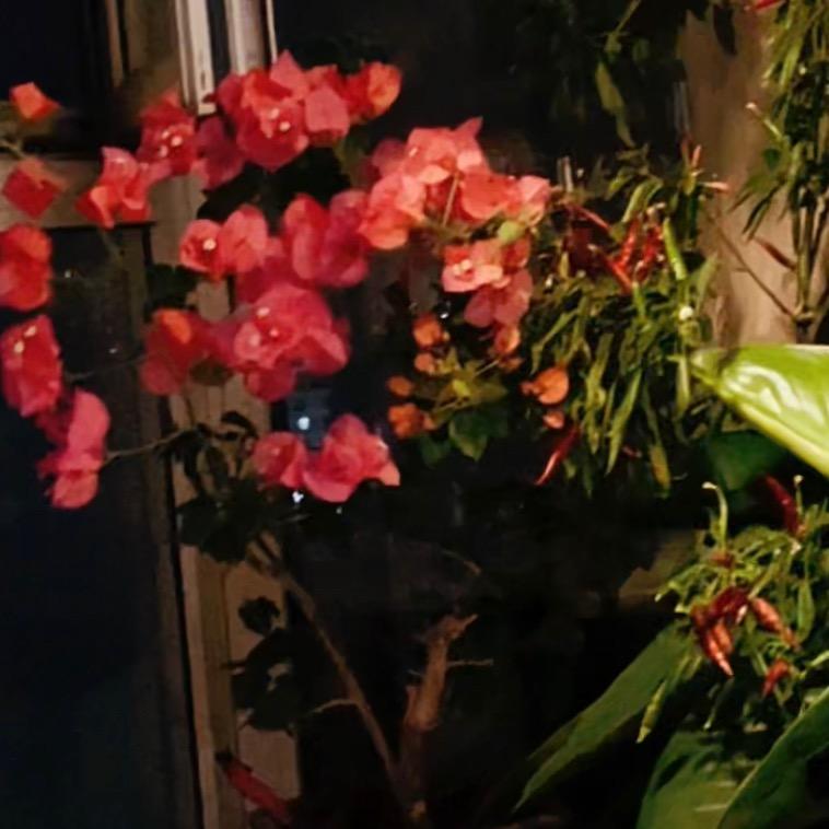 👌🏻往后随心