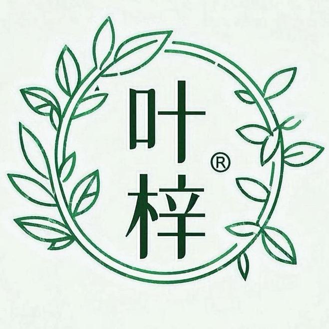 叶梓电影