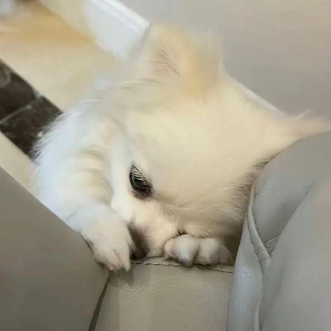 啾啾