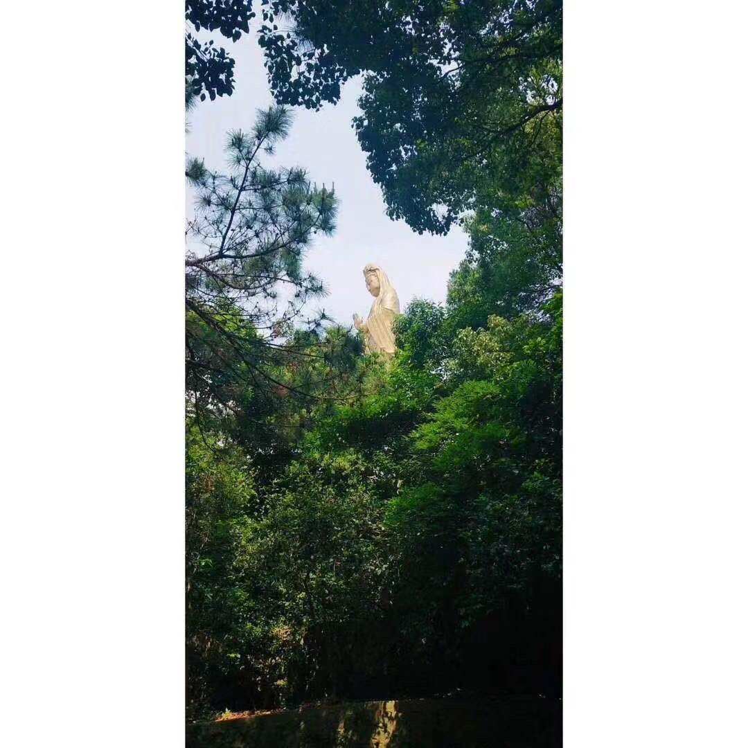 陈……