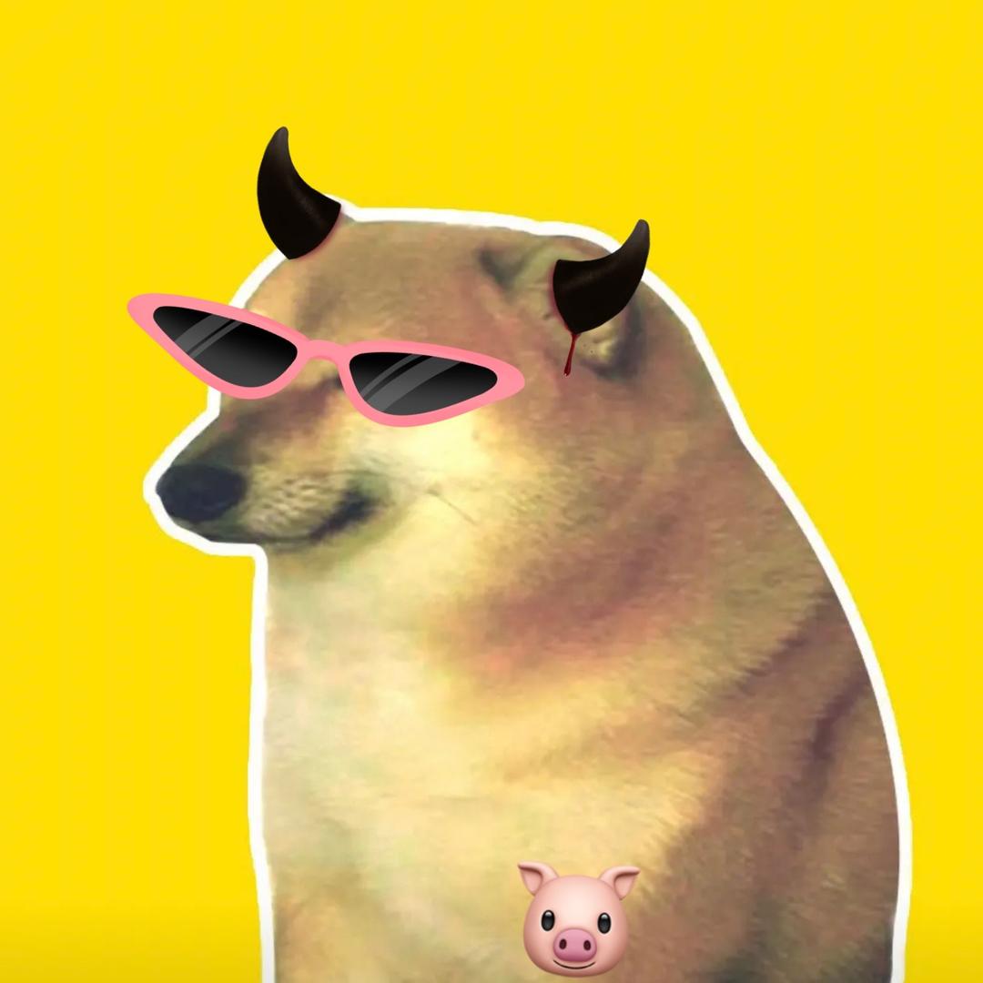 cheems小猪