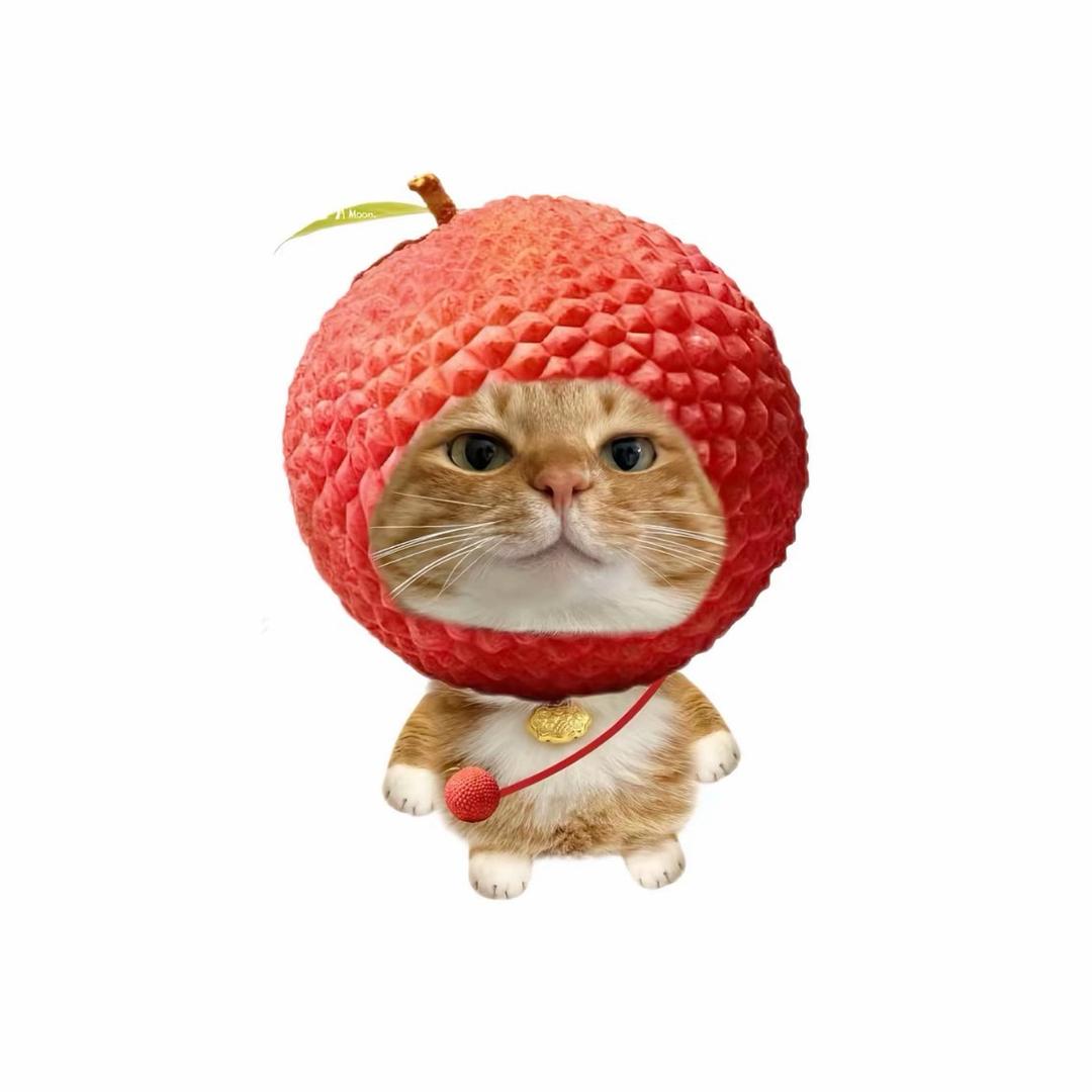 亚马逊野猪
