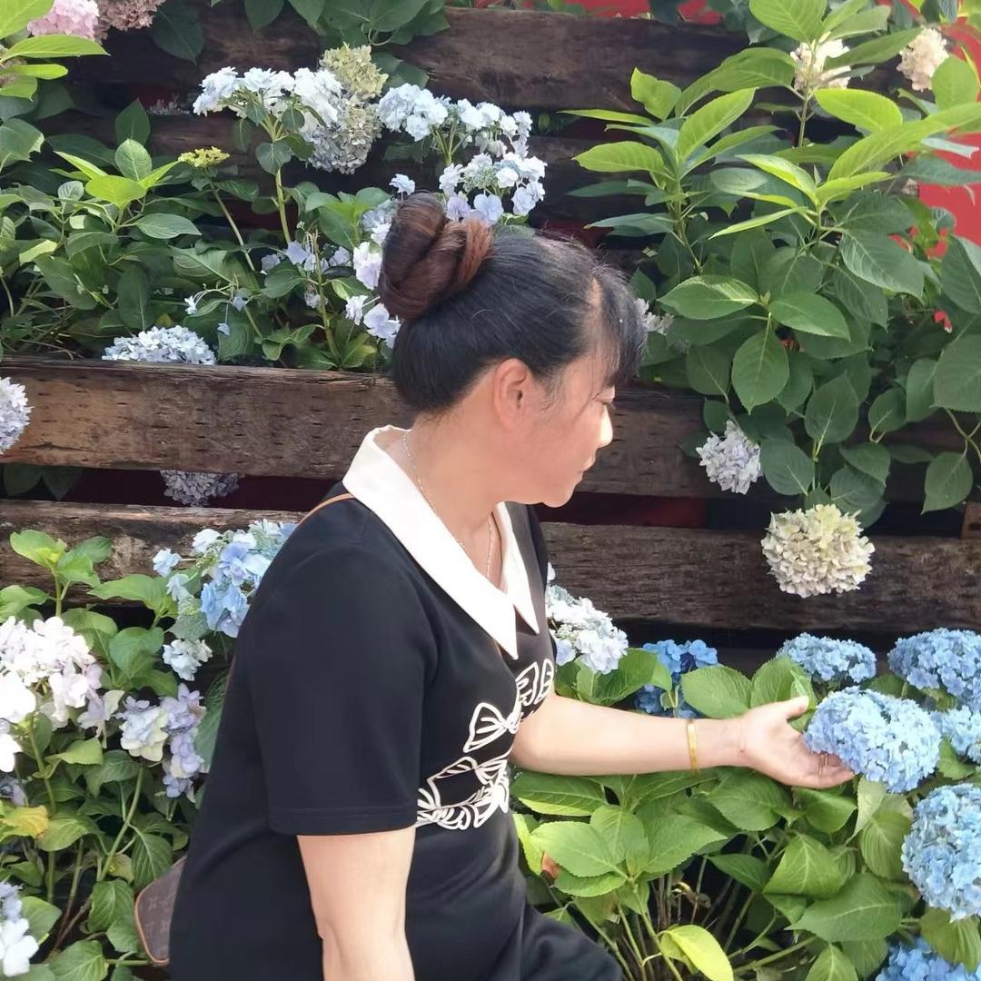 用户33681546509老张