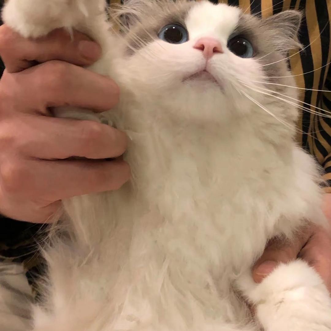 寒江雪