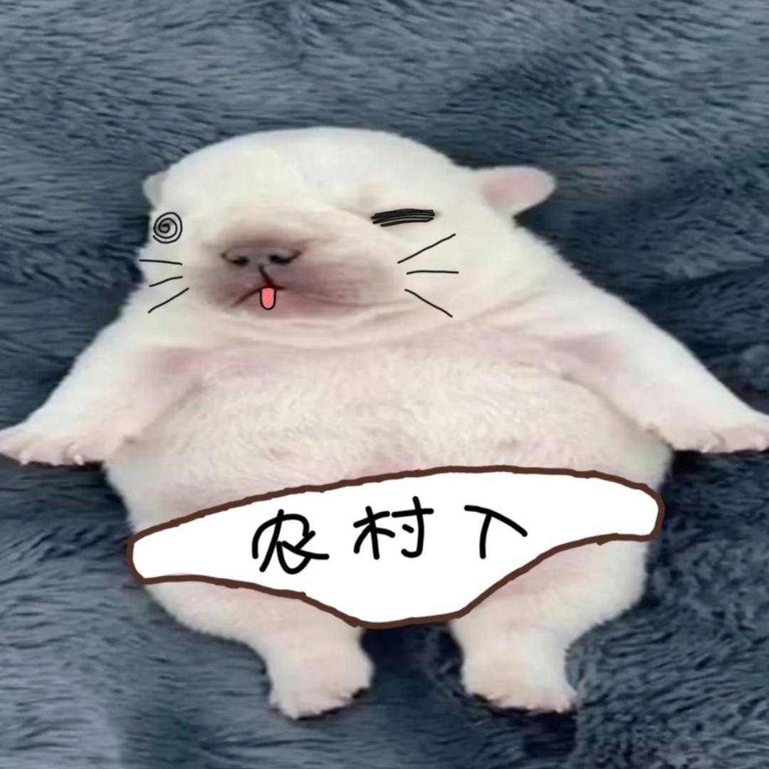 冻豆腐
