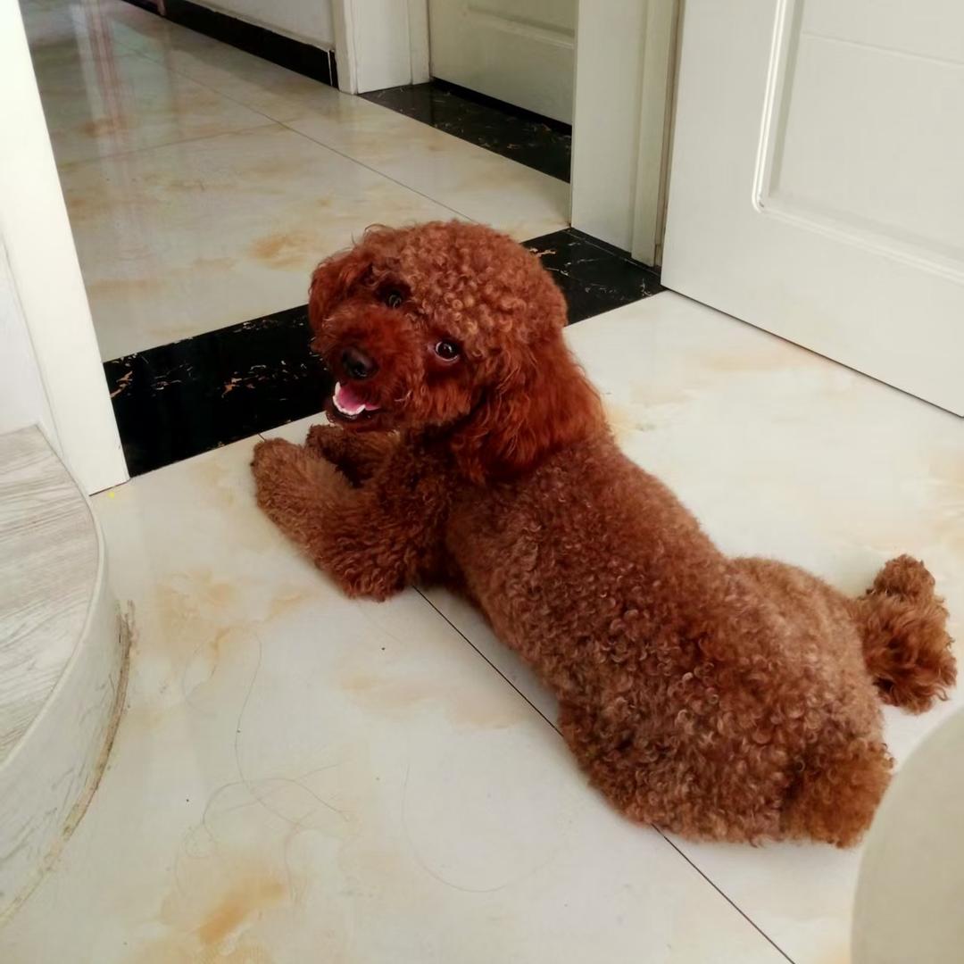 暴富呀